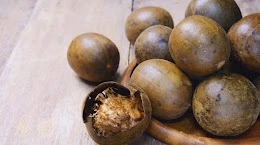 Monk Fruit
