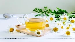 Chamomile