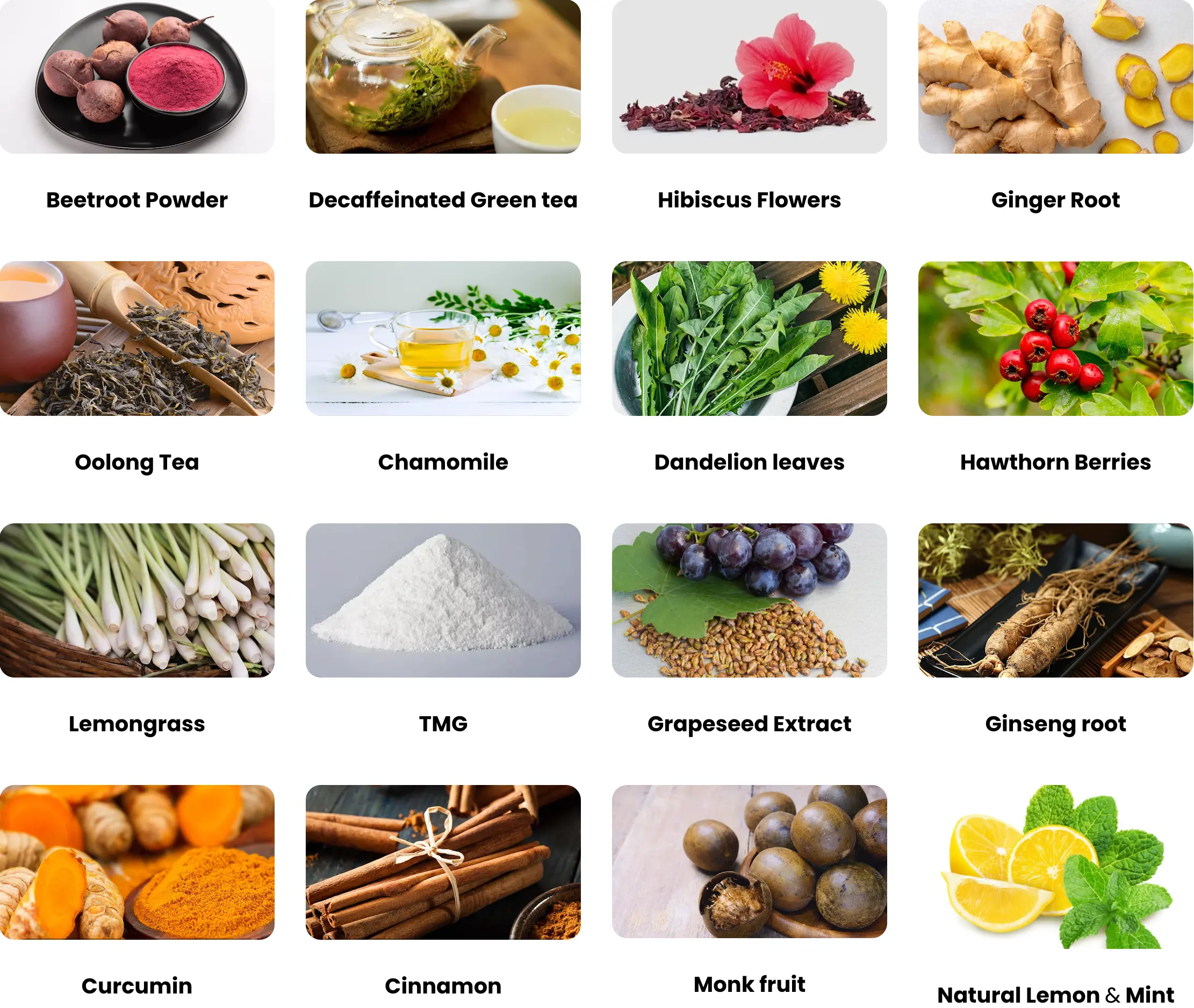 Ingredients-In-Cardio-Slim-Tea